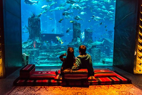 Sleeping under the Sea