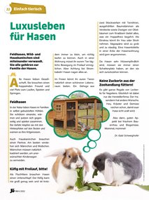 Magazin Artikel