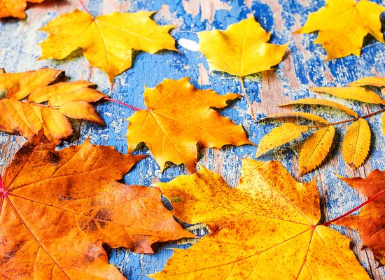 Poesie zum Anhören: Herbstzeit