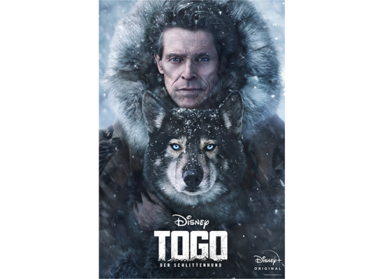 Trailer zum Film „Togo, der Schlittenhund“