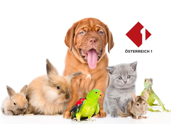 Ö1 Kinderuni März 2026