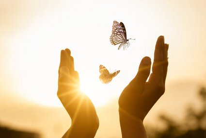 Lyrik Juni 2025 / sarayut_sy/Shutterstock.com